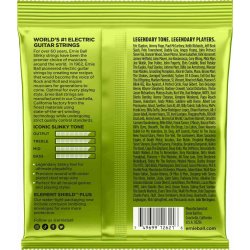 Ernie Ball 2621 7-String Regular Slinky Nickel